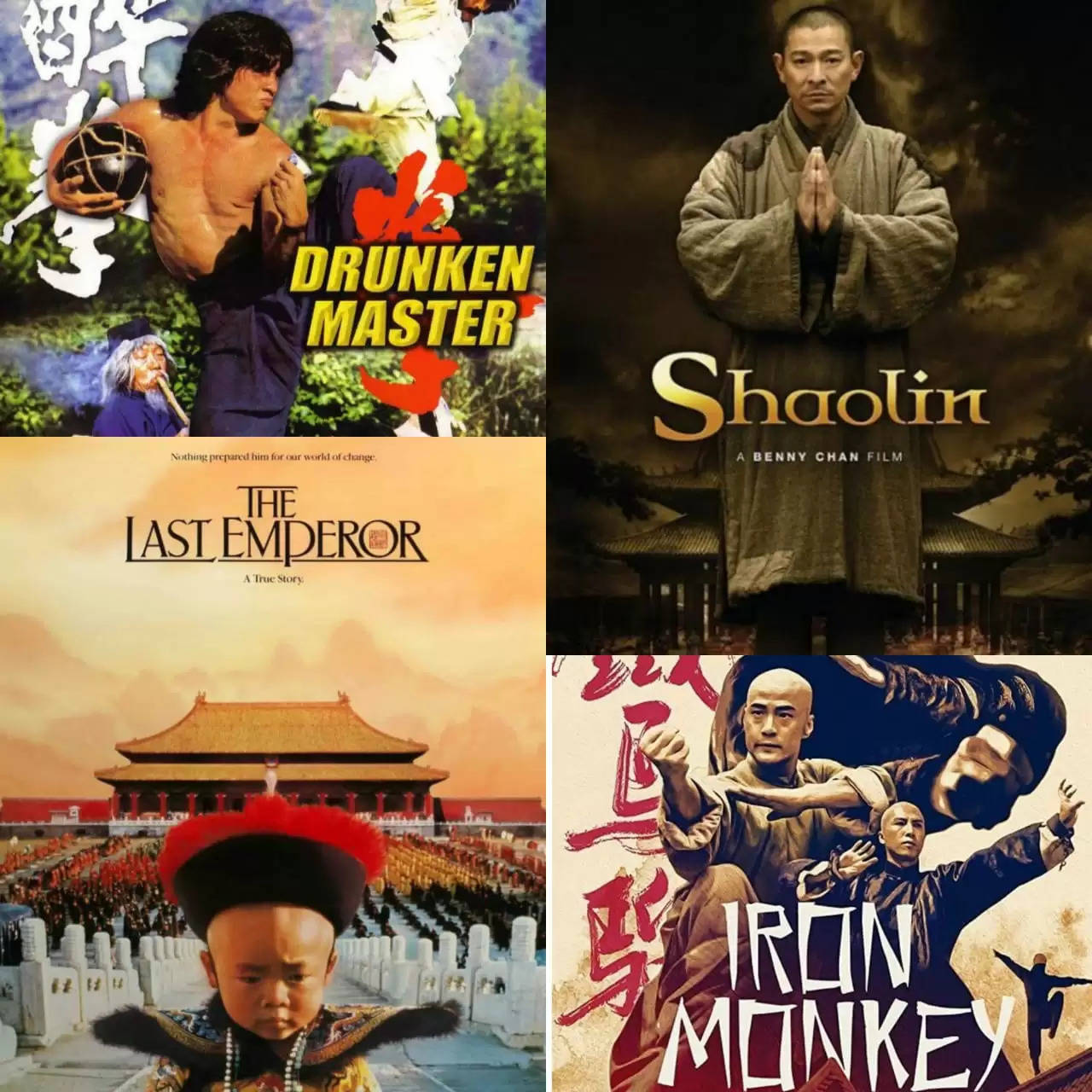 Best Hindi Dubbed Chinese Martial art Movies