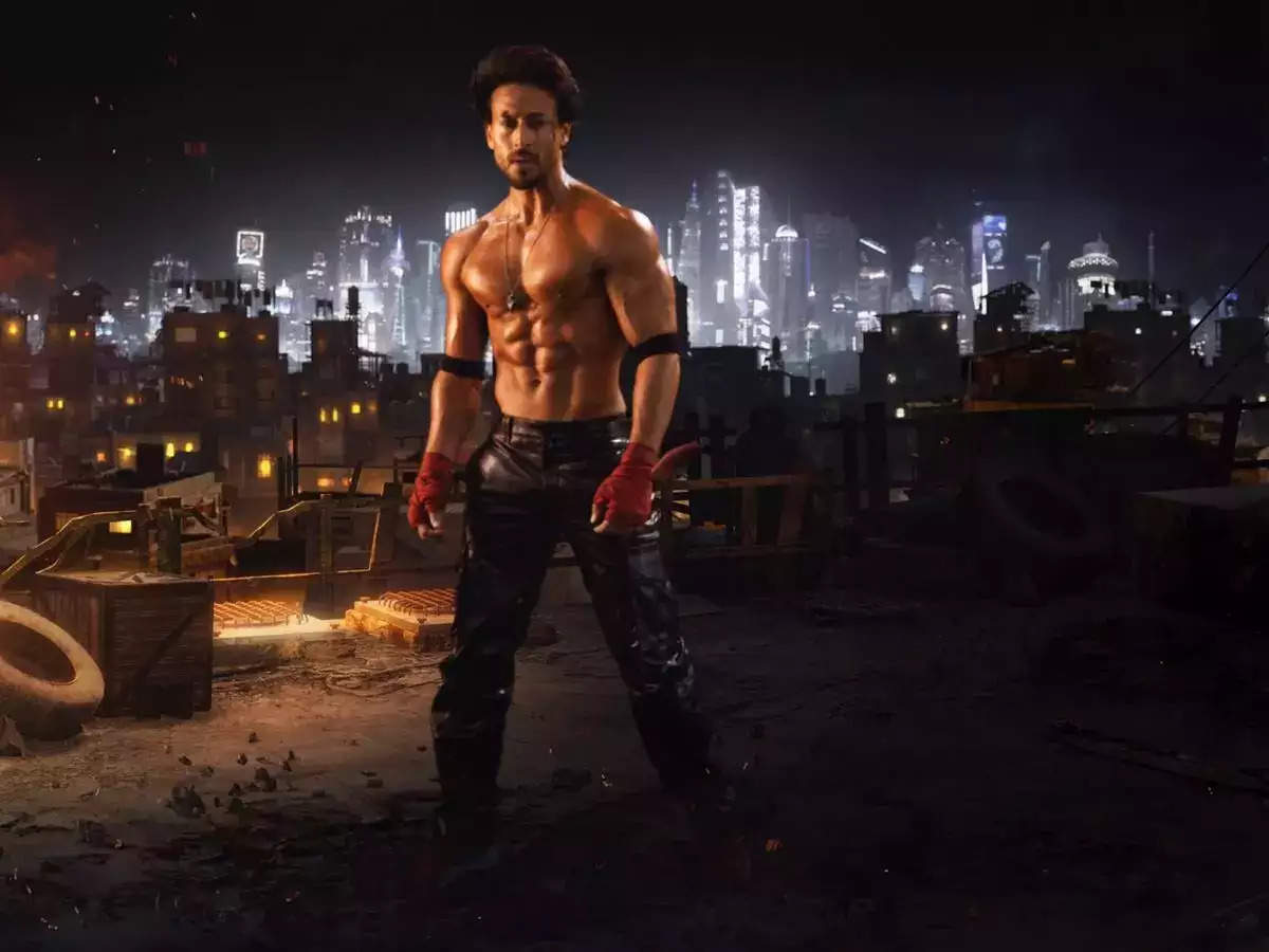 Top 10 Pics Of Tiger Shroff In 2022