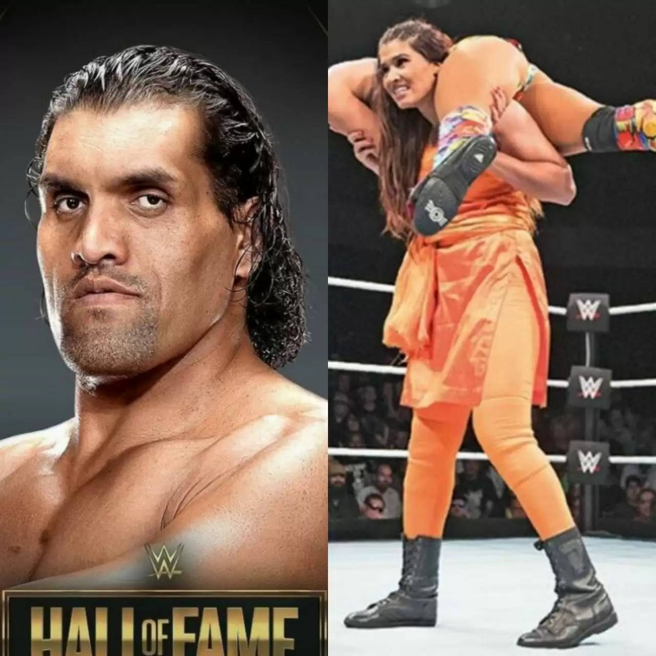Top 10 Indian Wrestlers At WWE 