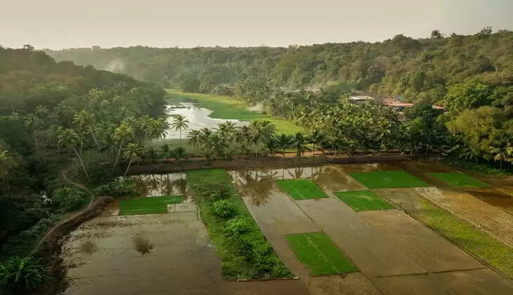 Things To Know About Goa In The Monsoons