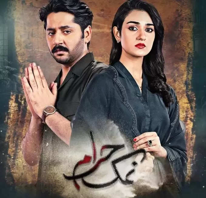 Namak Haram Drama Review, Director, Cast, Ratings, Timings