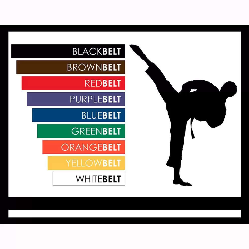  Karate Belt Levels In Order