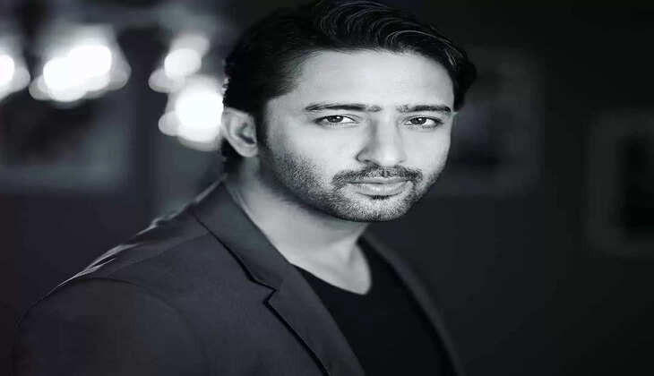 Shaheer Sheikh's Net Worth In 2023 Revealed!