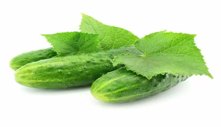 Cucumber