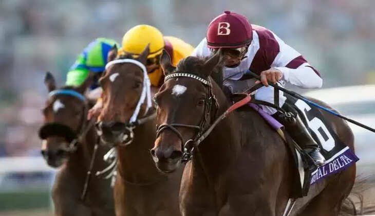 Top 10 Online Horse Race Betting Sites In India In 2025