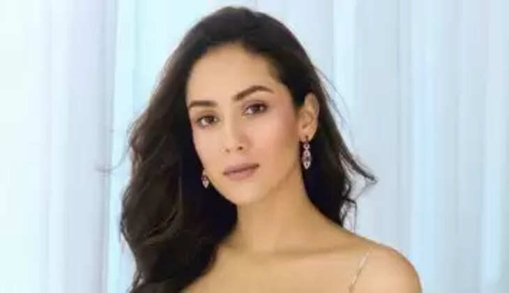  Mira Rajput Biography, Age, Family, Education, Wikipedia