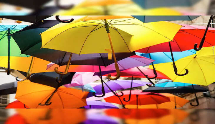 Top 10 Umbrella Brands In India In 2023 With Prices In INR