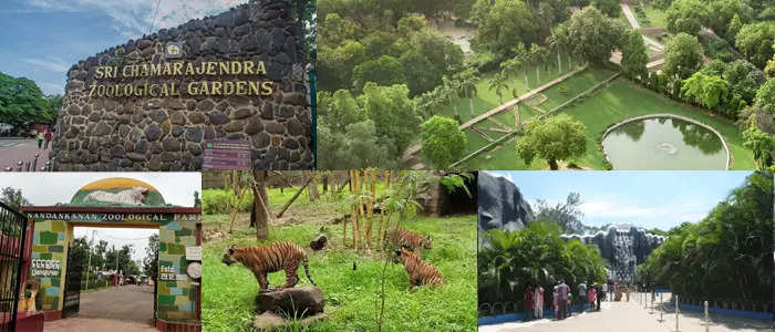 Top 10 Largest Zoos in India in 2023