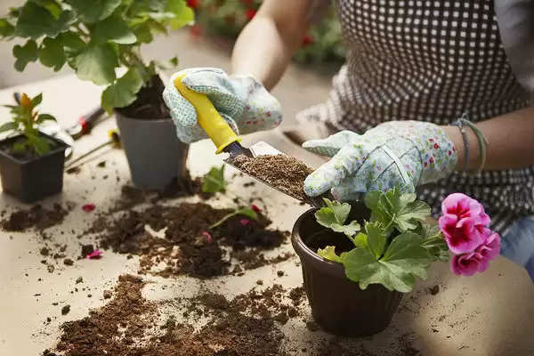 How To Make Potting Soil At Home In India