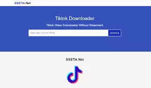  Simple Steps To Download TikTok Videos For Free