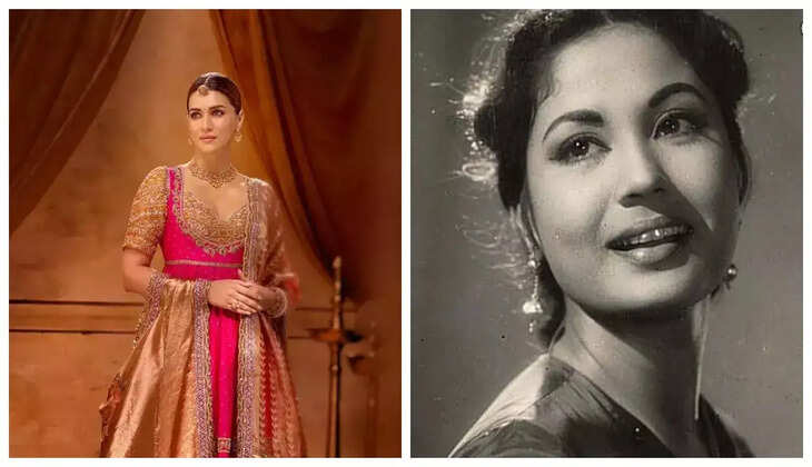  Kriti Sanon's Meena Kumari Biopic Shelved