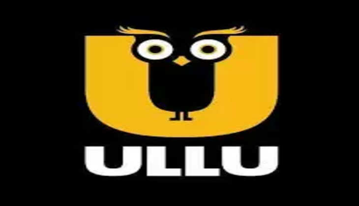 Know About New Ullu Web Series List 