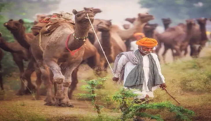 Baniya Caste Category