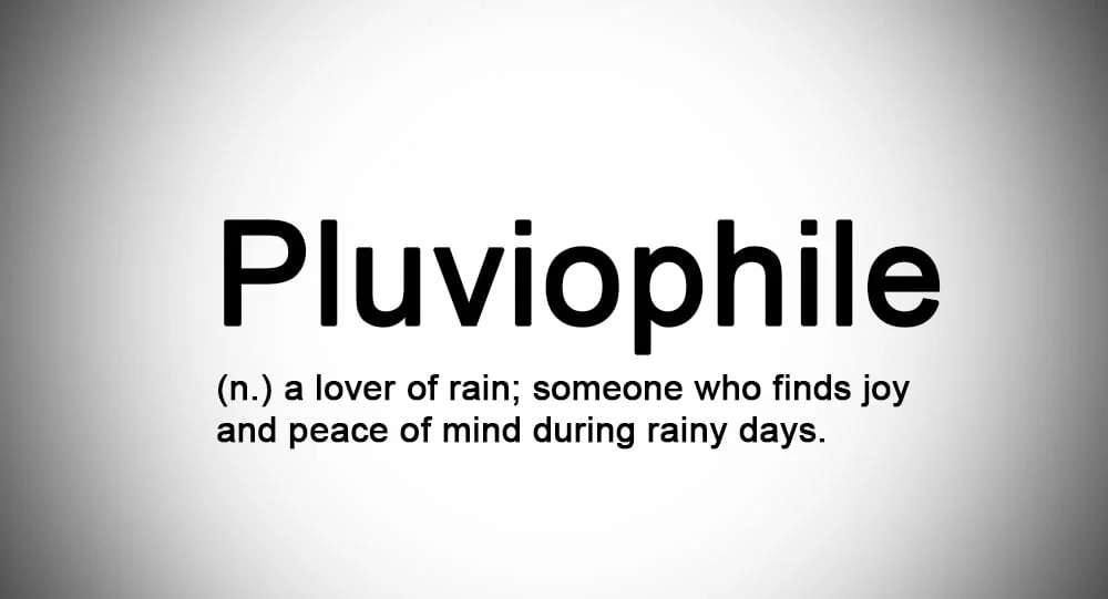 Meaning Of Pluviophile? 6 Interesting Signs You Are One