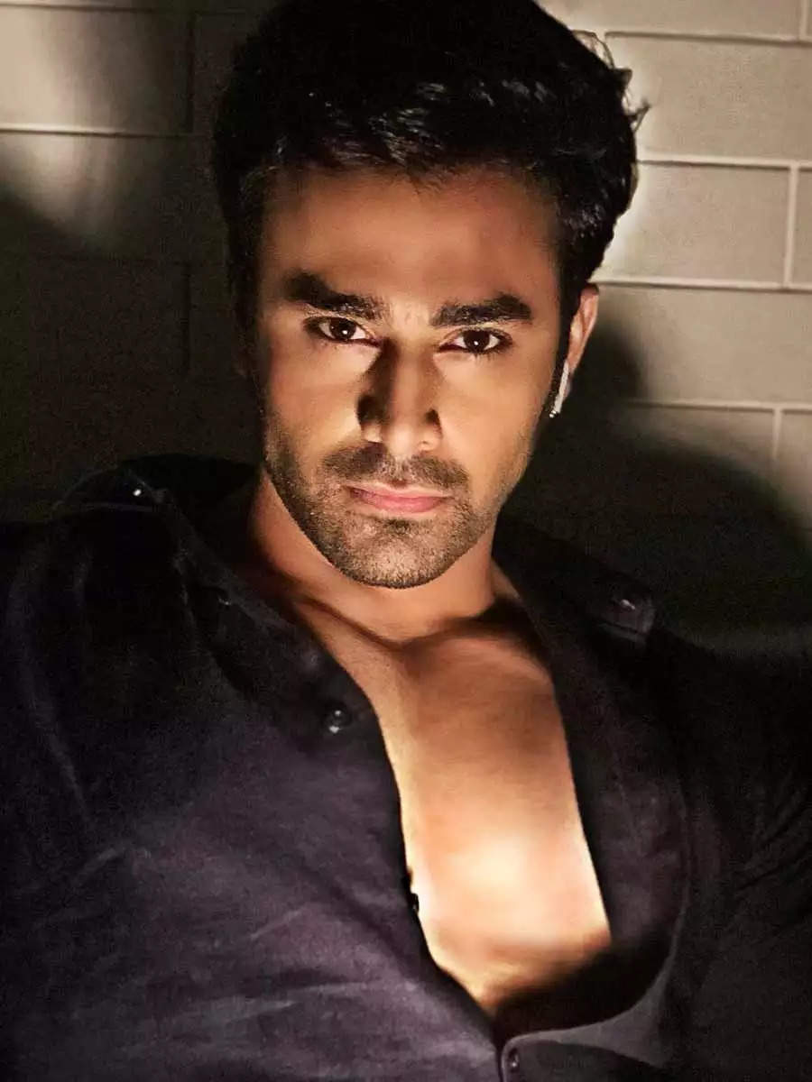 What TV Actor Pearl V Puri Had To Say About Rape Allegations