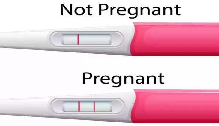 Top 5 Women's Pregnancy Kits in 2023