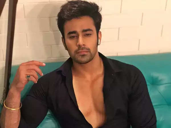 What TV Actor Pearl V Puri Had To Say About Rape Allegations