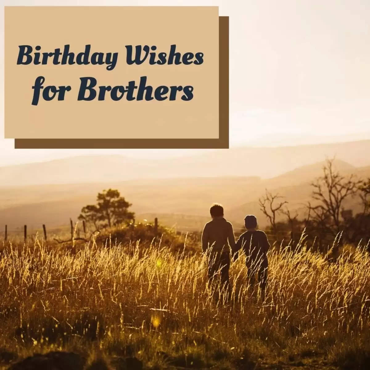 Top 30 Birthday Wishes For Your Brother To Show Him Your Love