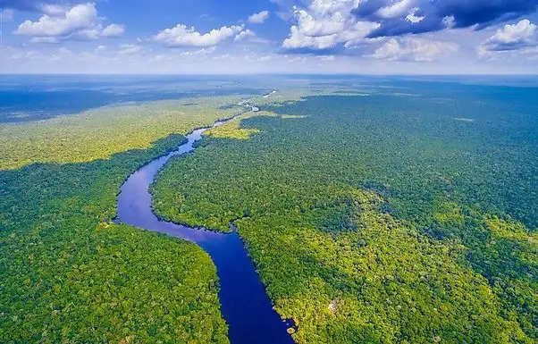 Top 10 Longest Rivers In The world