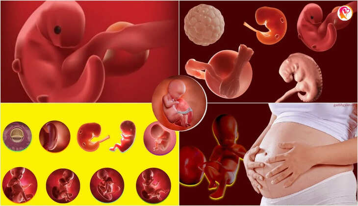 9 Month Pregnancy in Hindi Explained 