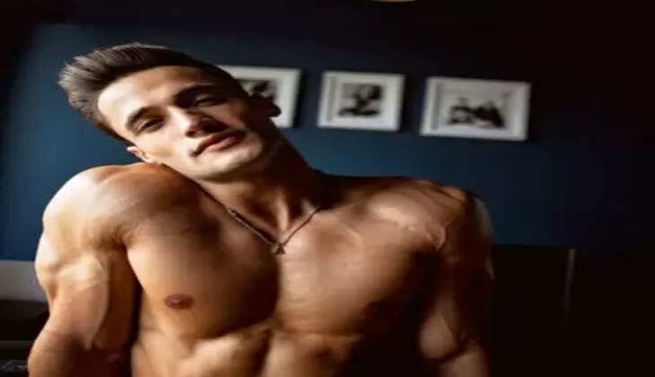 Asim Riaz Movies And TV Shows, Wikipedia, Age, Girlfriend, Family 