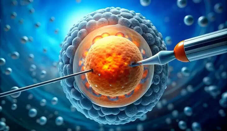 IVF treatment in Kolkata: What to expect?