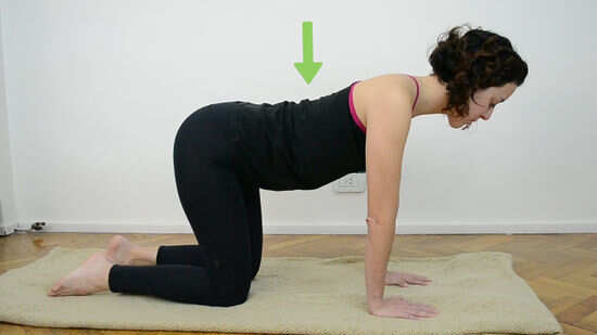 подготовка к прогибу поза кошки