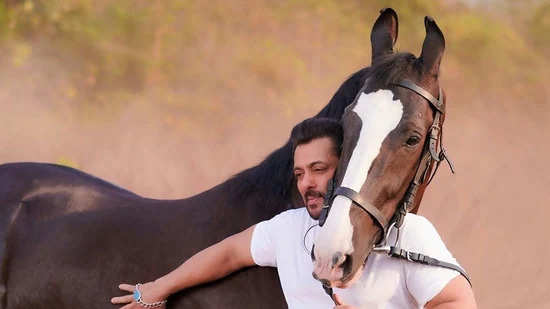 salman khan with horse