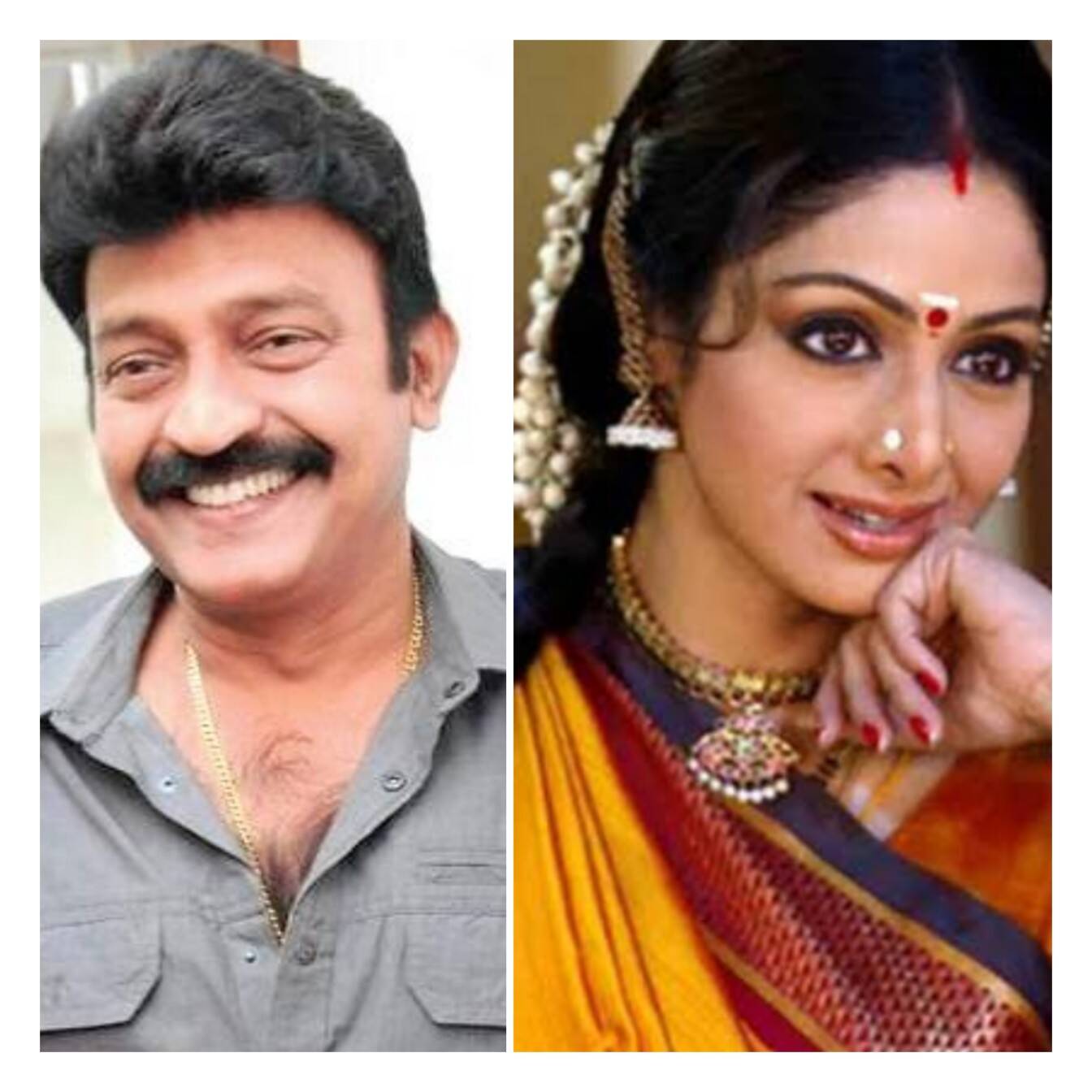 Sridevi's Mother Approached Dr Rajasekhar's Family For Marriage Proposal?