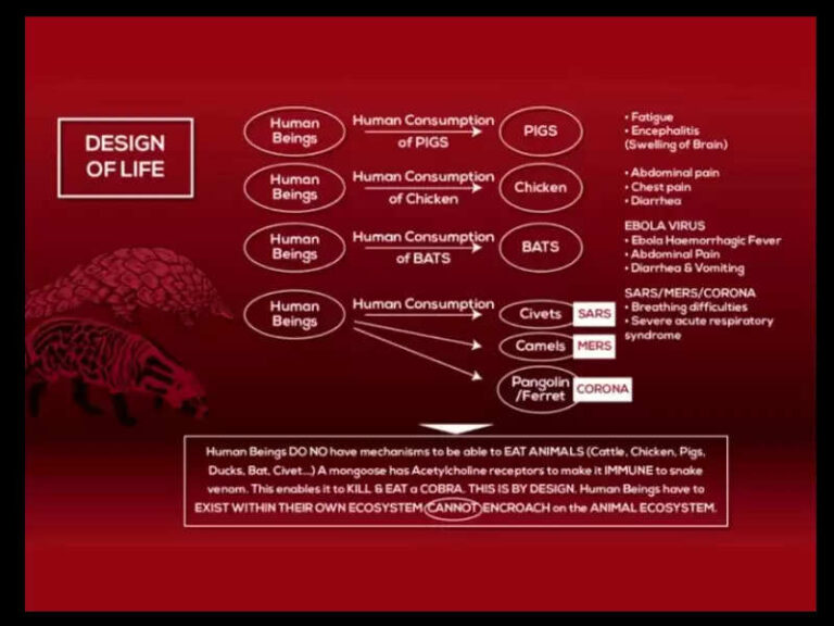 COVID 19 :Not from a Lab ! Animal Virus Again !