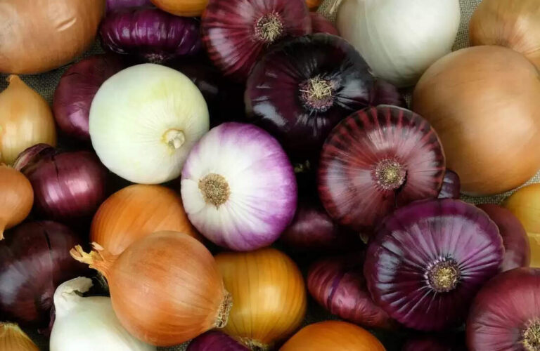 Benefits of Eating Raw Onions