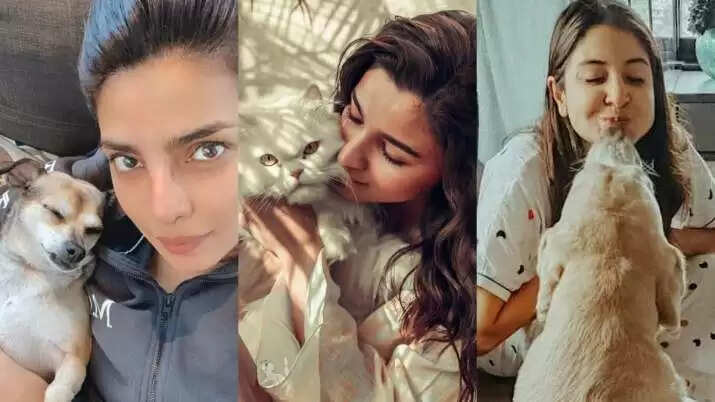 Teddy Day 2022: Alia Bhatt’s cat Edward, Kartik Aaryan’s dog Katori, Celeb Pets Who are as Cute as Teddy Bears