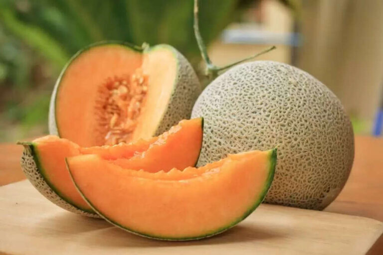 Top 10 Benefits Of Having Muskmelon ie Kharbuja Seeds