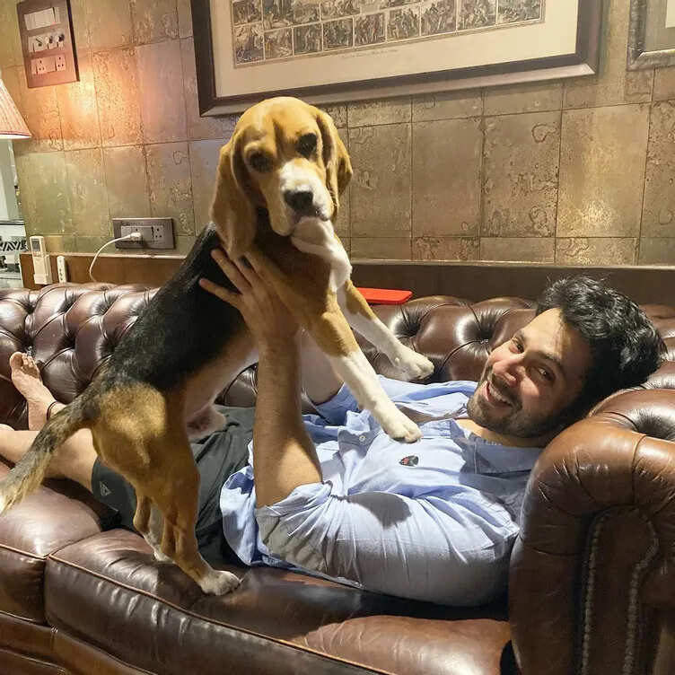 Varun Dhawan Enjoys his ‘Dog Day’ Morning