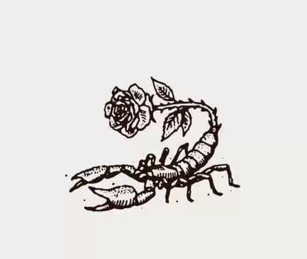 Top 10 Scorpio Traits & Personality Explained