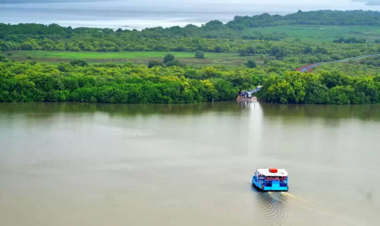Islands In India That Would Make Great Holiday Destinations