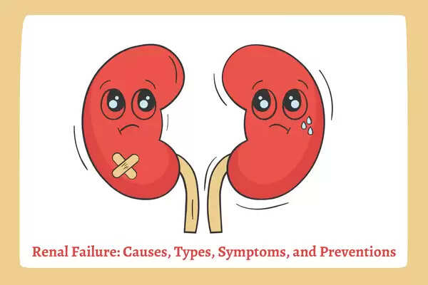 Renal Failure: Causes, Types, Symptoms, and Preventions