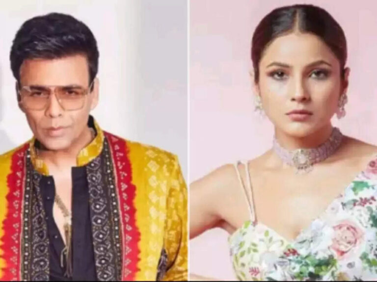 Shehnaaz Gil To Karan Johar: Celebrities Who Use Fake Social Media Accounts to Stalk Others