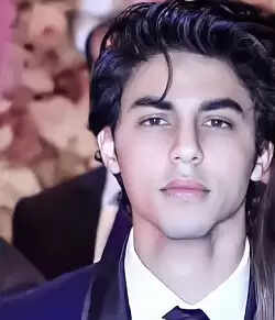 Aryan Khan Ventures into Direction with Upcoming Web Series 'Stardom': Reports says