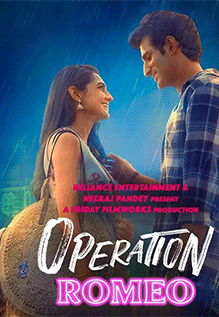 Operation Romeo Ending Explained