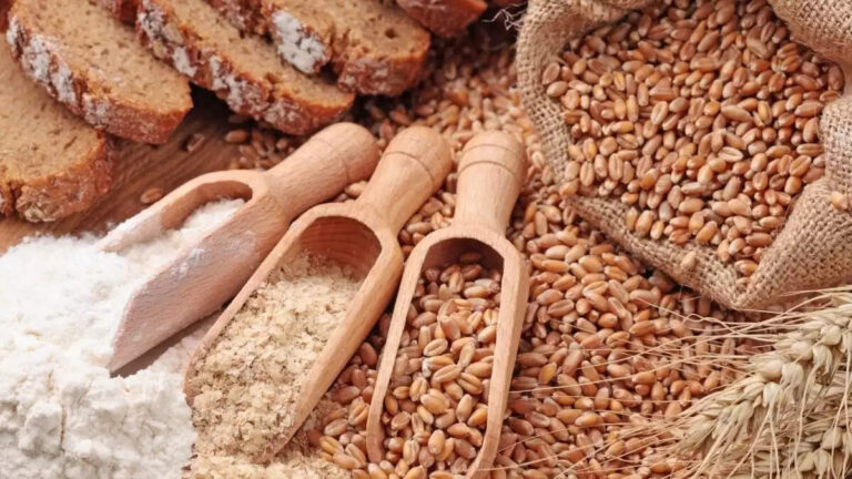 Top 10 Indian States In Wheat Production In 2023