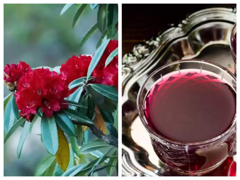 Top 12 Benefits Of Consuming Buransh Juice