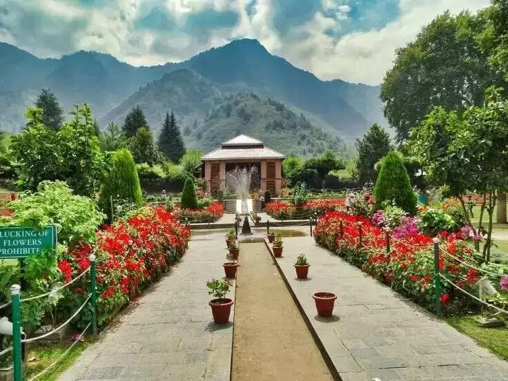 Top 10 Movies About Flowers Till 2023