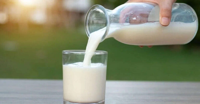 Is Milk really Good For Weight Loss? Here Is What We Know