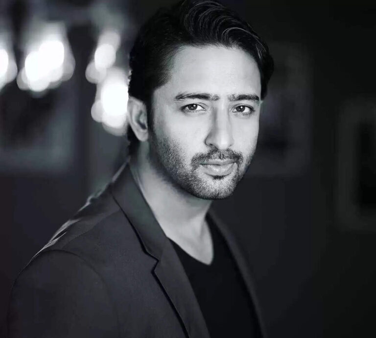 Shaheer Shaikh Net Worth, Age, Income, Biography In 2023
