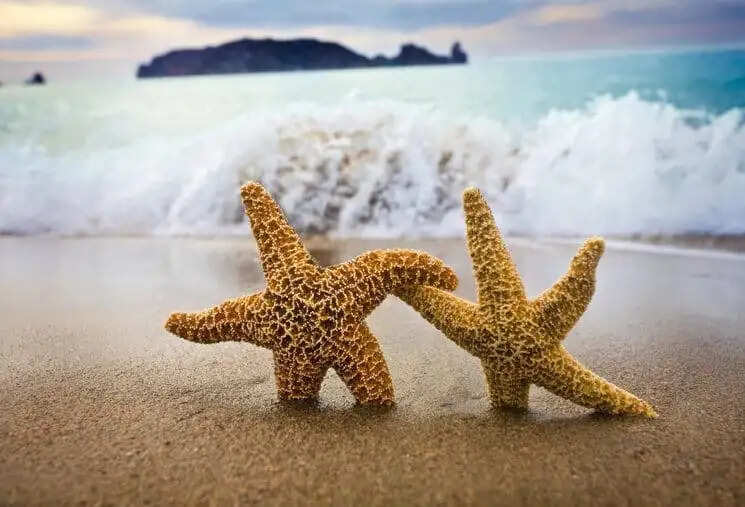 Top 10 Inspirational & Motivational Short Stories In 2023