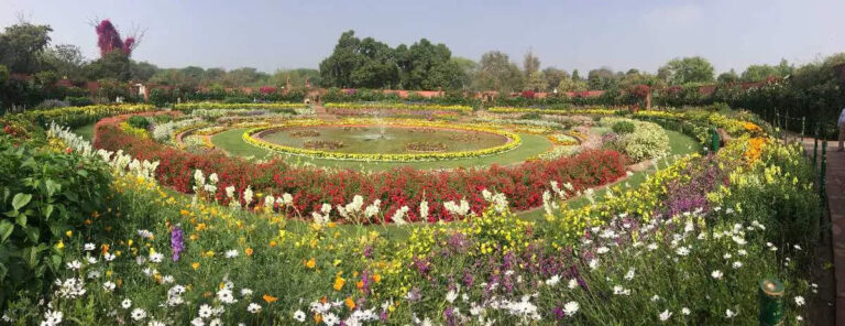 Top 15 Beautiful Gardens In India In 2023