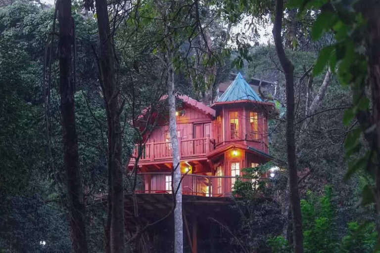 Top 5 Tree House Resorts In Coorg In 2023