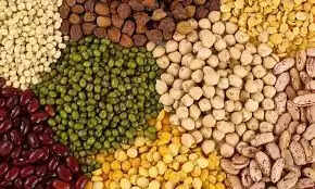 Is Dal/ Pulses Safe For Uric Acid Patients?