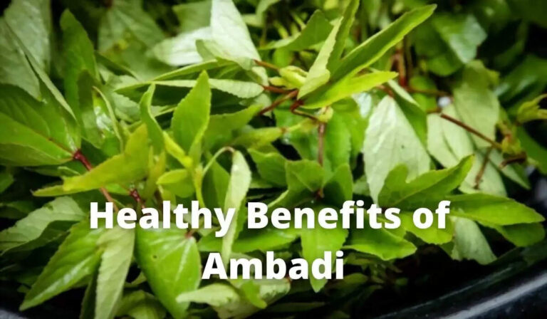 Top 8 Health Benefits & Use Of Ambadi